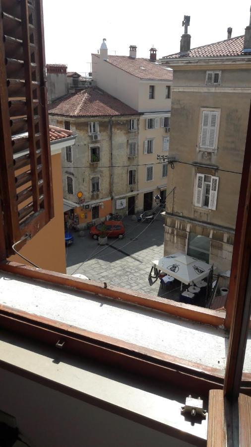 Piranhe Piran